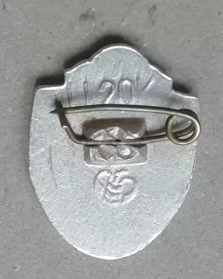 ЗНАК ФУТБОЛЬНЫЙ КЛУБ ДИНАМО ТБИЛИСИ 1