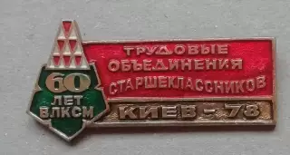 ЗНАК60 лет ВЛКСМ Киев -78 Трудовые Объединения Старшеклассников -СТРОЙОТРЯД
