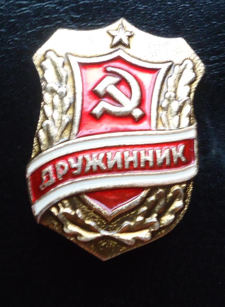 Знак: ДРУЖИННИК