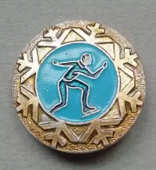 Знак значок - конькобежный спорт