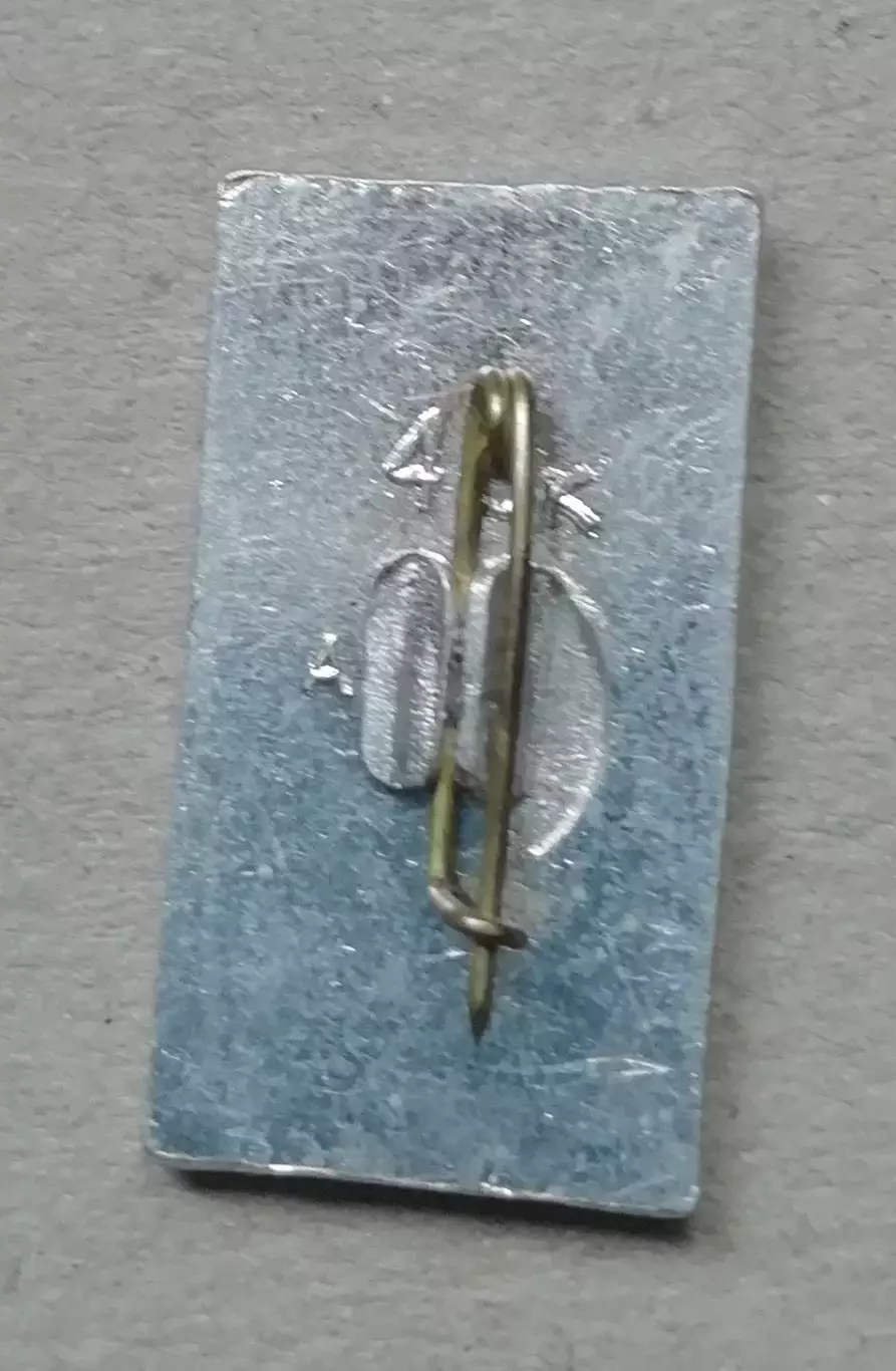 Знак, ЗначокДнепр чемпион СССР 1989 1