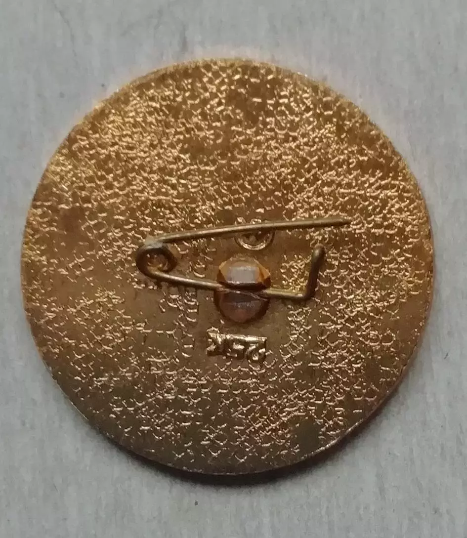 Знак, значок клуб Золотая шайба 1