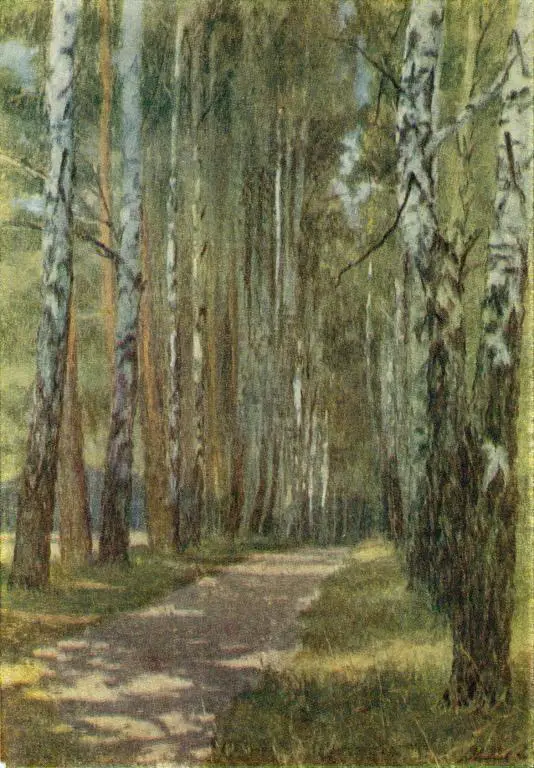 А. Минаев. Аллея в Поленове. 1956 г.