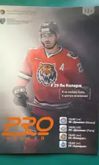 Амур (Хабаровск)- Динамо (Мн), Динамо (Рига), Йокерит, Адмирал 12-19.01.2017 г.