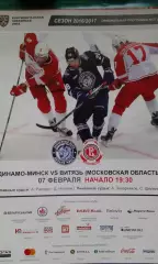 Динамо (Минск)- Витязь (Московская область) 7 февраля 2017 года.