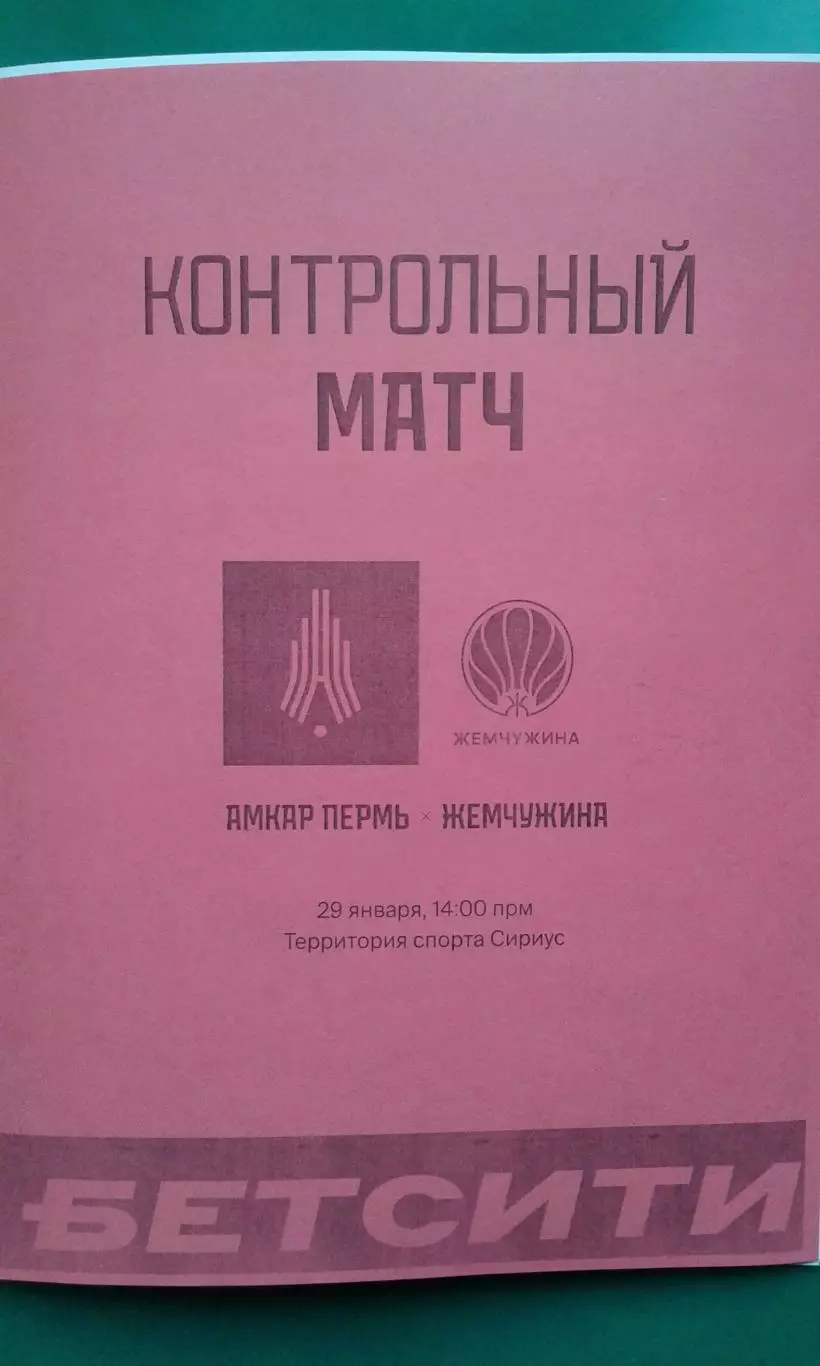 Амкар (Пермь)- Жемчужина (Сочи) 29 января 2026 года. (Неофициальная). ТМ.