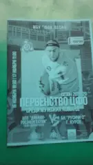 Динамо-Росэнергоатом (Десногорск)- Русичи-2 (Курск) 16-17 ноября 2019 года. ЦФО.