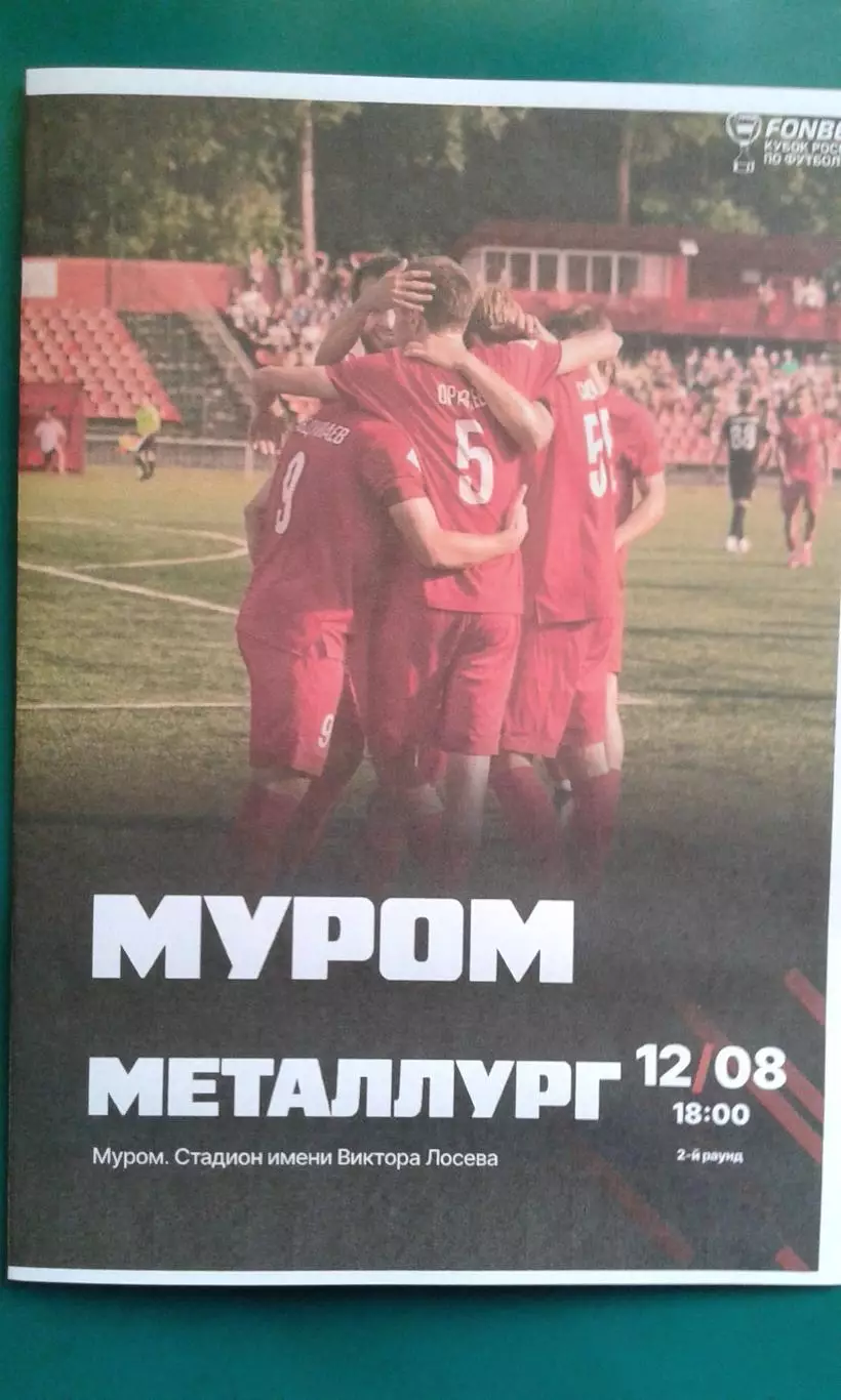 Муром (Муром)- Металлург (Липецк) 12.08.2026 года. (Неофициальная). Кубок России