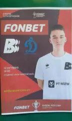 Волна (Нижегородская обл)- Динамо (С-Петербург) 14.10.2026 г. (Неофицальн) Кубок
