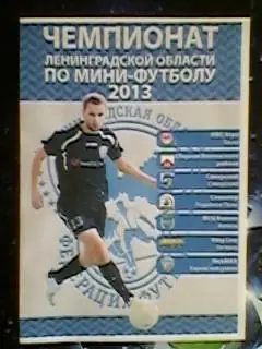 Чемпионат Ленинградской области по мини-футболу 2013 год