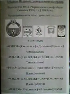 Первенство МОА Черноземье (юноши 1996) 2013 год. г.Смоленск