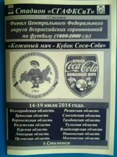 Кожаный мяч: Финал ЦФО, 14-19 июля 2014 года. Смоленск. (юноши 1999-2000 г/р)