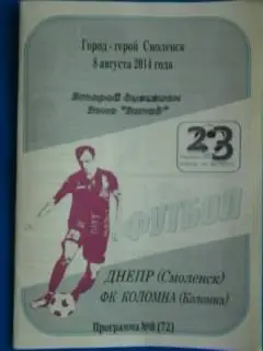 Днепр(Смоленск)- ФК Коломна(Коломна) 8 августа 2014 года. (Авторская).
