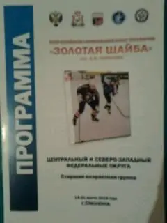 Золотая шайба 14-21 марта 2015 г (Смоленск) Ярославль, Тверь, Владимир, Кострома