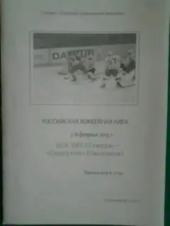 ЦСК ВВС (Самара)- Славутич (Смоленск) 7-8 февраля 2015 года.