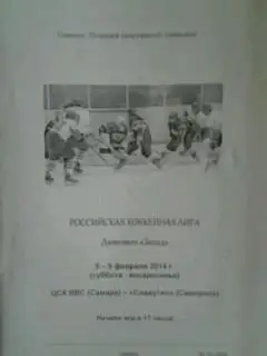 ЦСК ВВС (Самара)- Славутич (Смоленск) 8-9 февраля 2014 года.
