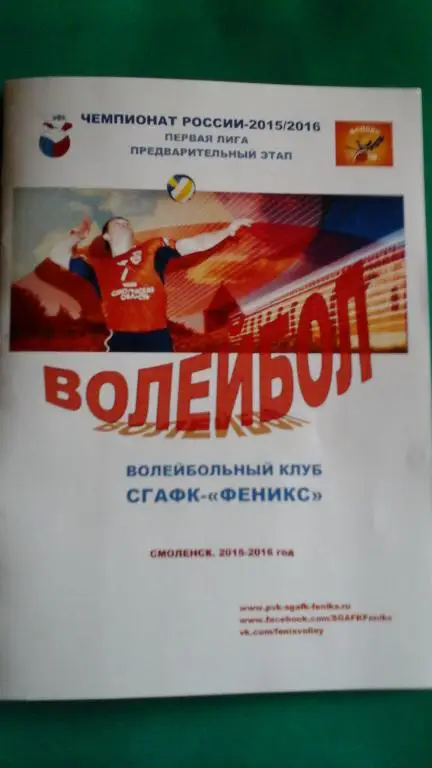 Чемпионат России (первая лига) (г.Смоленск) 30.10-01.11.2015 год.