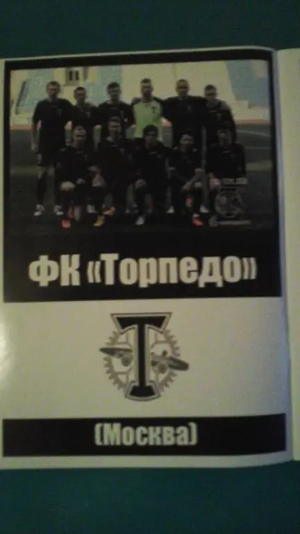 Торпедо (Москва)- Авангард (Курск) 8 ноября 2015 года. (Альтернатива). 1