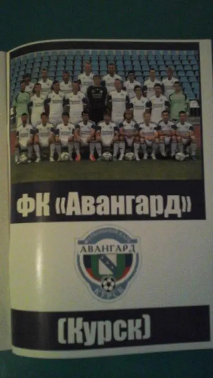 Торпедо (Москва)- Авангард (Курск) 8 ноября 2015 года. (Альтернатива). 2