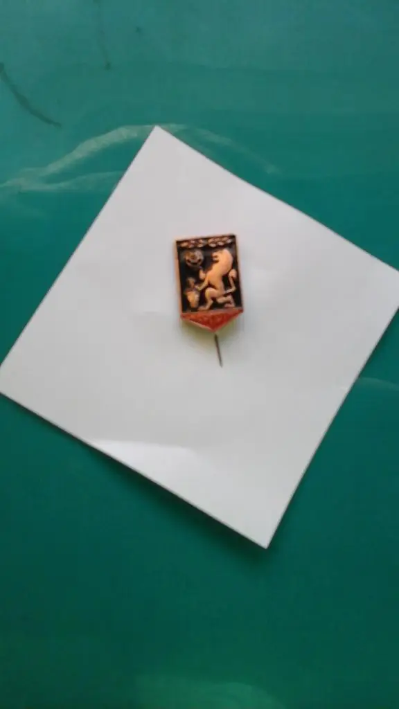 Знак Карпаты (Львов)