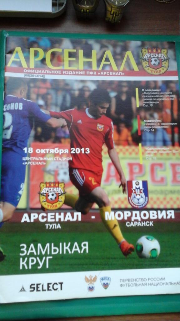 Арсенал (Тула)- Мордовия (Саранск) 18 октября 2013 года.
