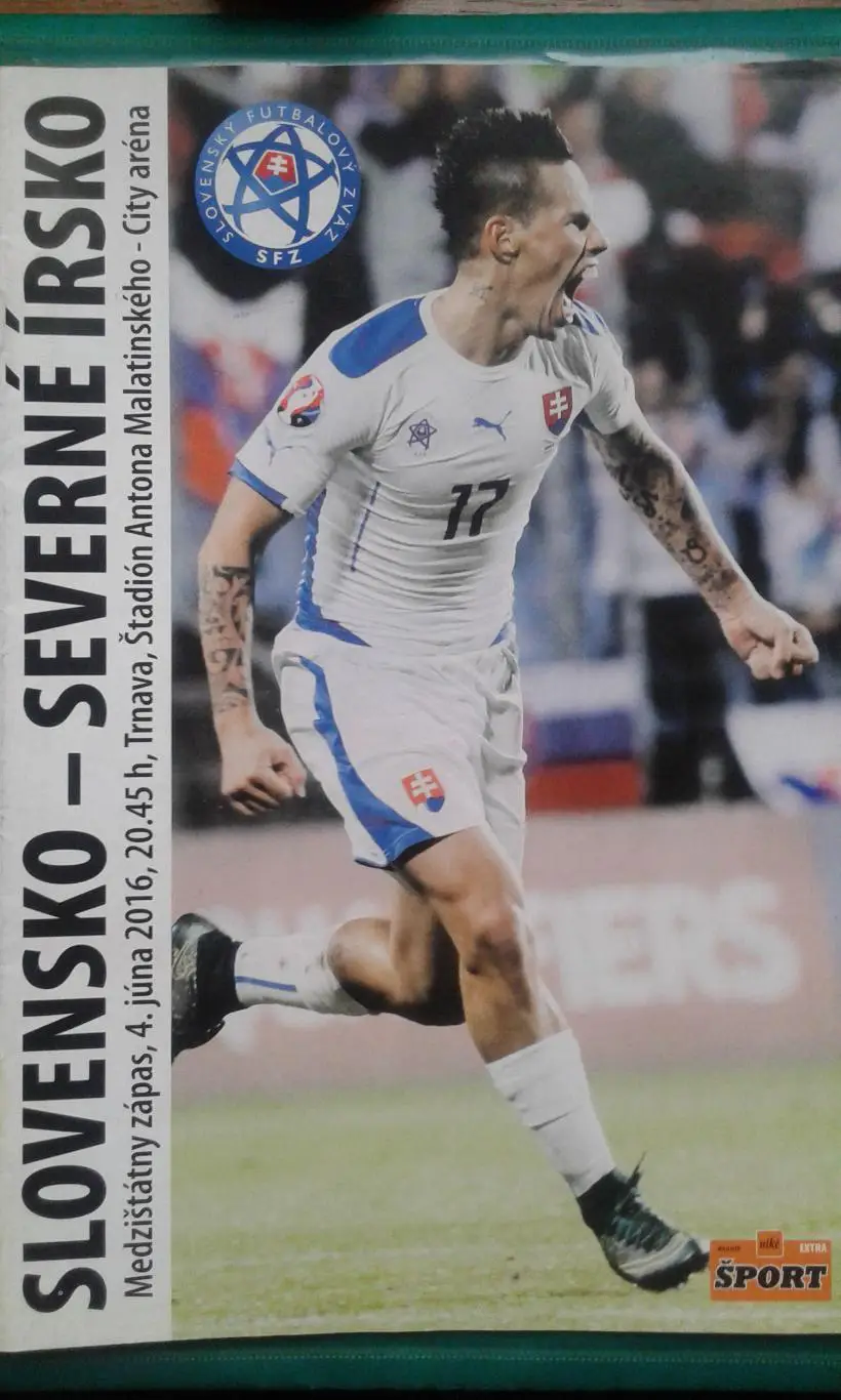 Словакия- Северная Ирландия 4 июня 2016 года. ОМЧМ.