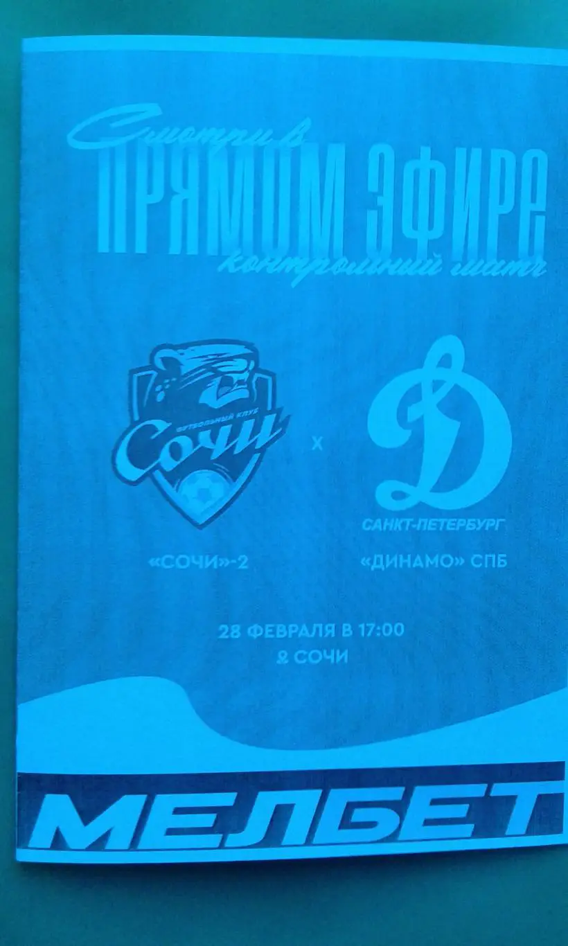 Динамо (Санкт-Петербург)- Сочи-2 (Сочи) 28 февраля 2025 г. (Неофициальная). ТМ