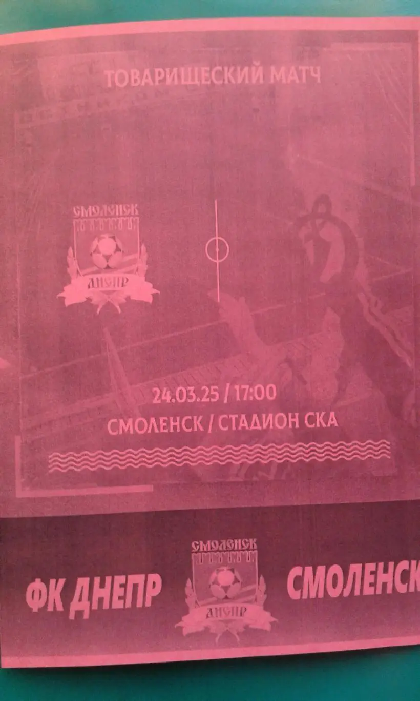 Днепр (Смоленск)- Динамо-М (Санкт-Петербург) 24 марта 2025 г. (Неофициальная) ТМ