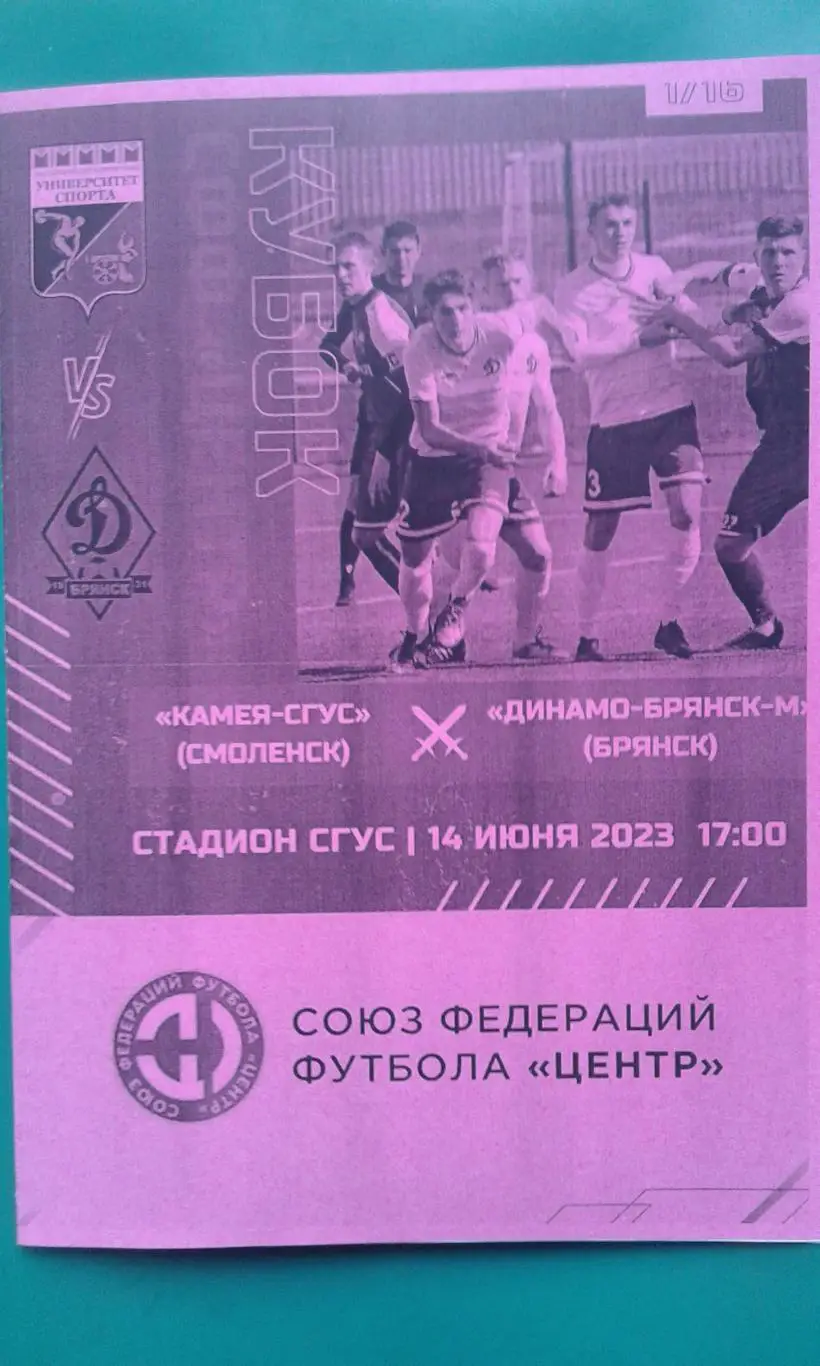 Камея-СГУС (Смоленск)- Динамо-М (Брянск) 14.06.2023 г. Кубок СФФ Центр. (н/оф)