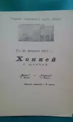 Молот (Пермь)- Торпедо (Минск) 15-16 февраля 1971 года.