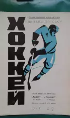 Молот (Пермь)- Торпедо (Минск) 14-15 февраля 1973 года.