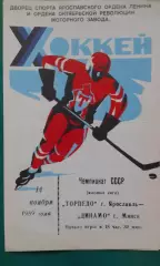 Торпедо (Ярославль)- Динамо (Минск) 14 ноября 1989 года.