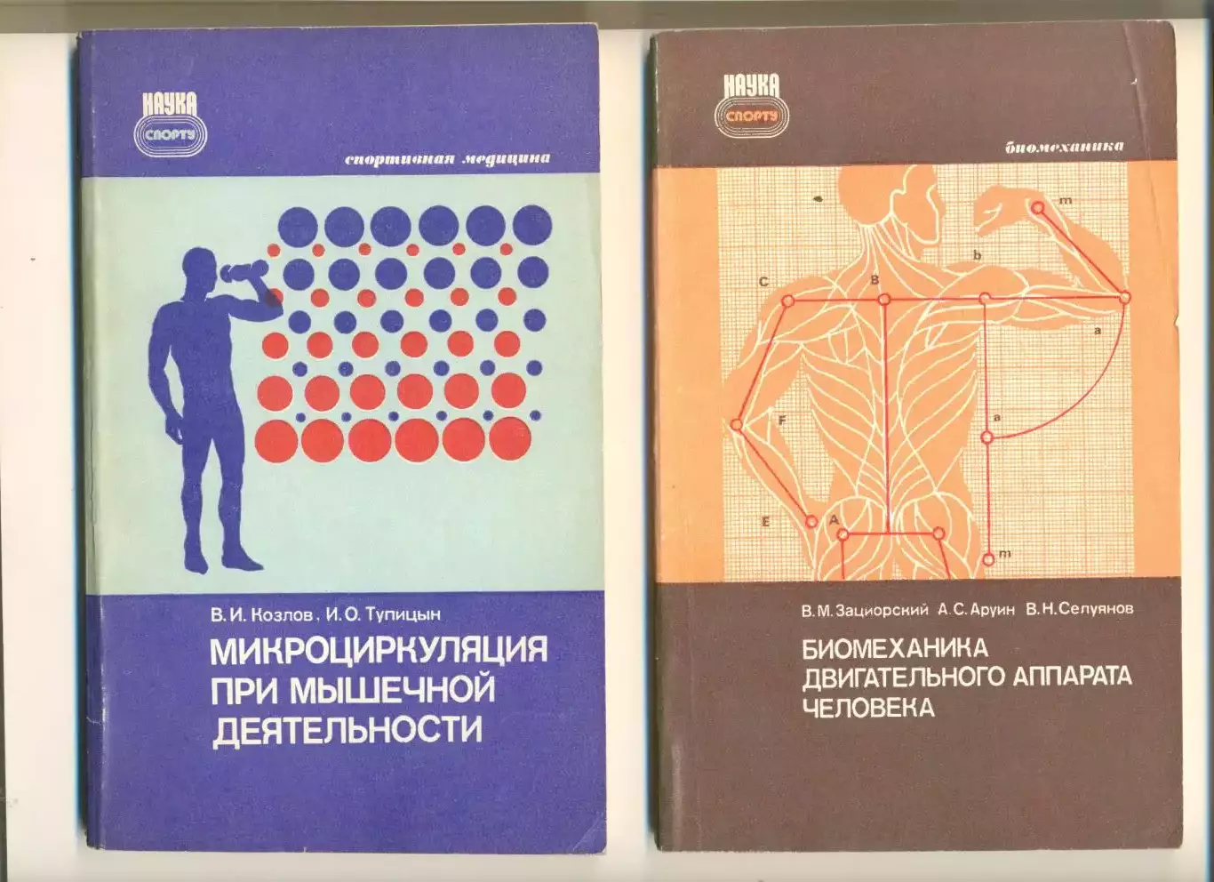 Зациорский В. и др. Биомеханика двигательного аппарата человека. М. Фис. 1981 г.