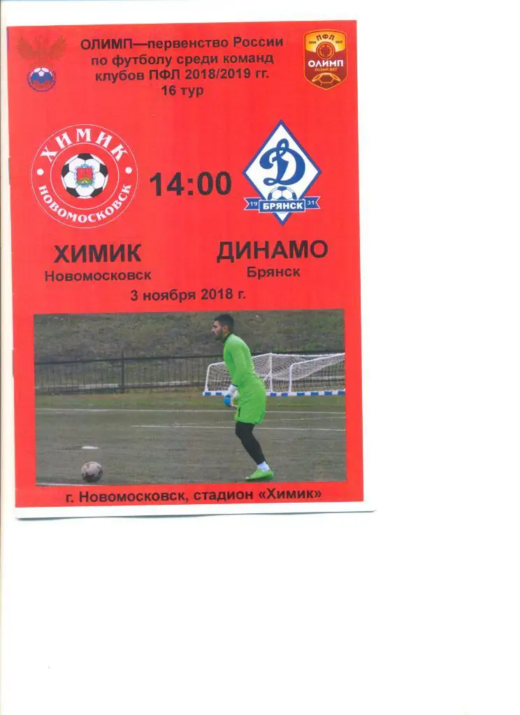 Химик Новомосковск -Динамо Брянск 03.11.2018 г.