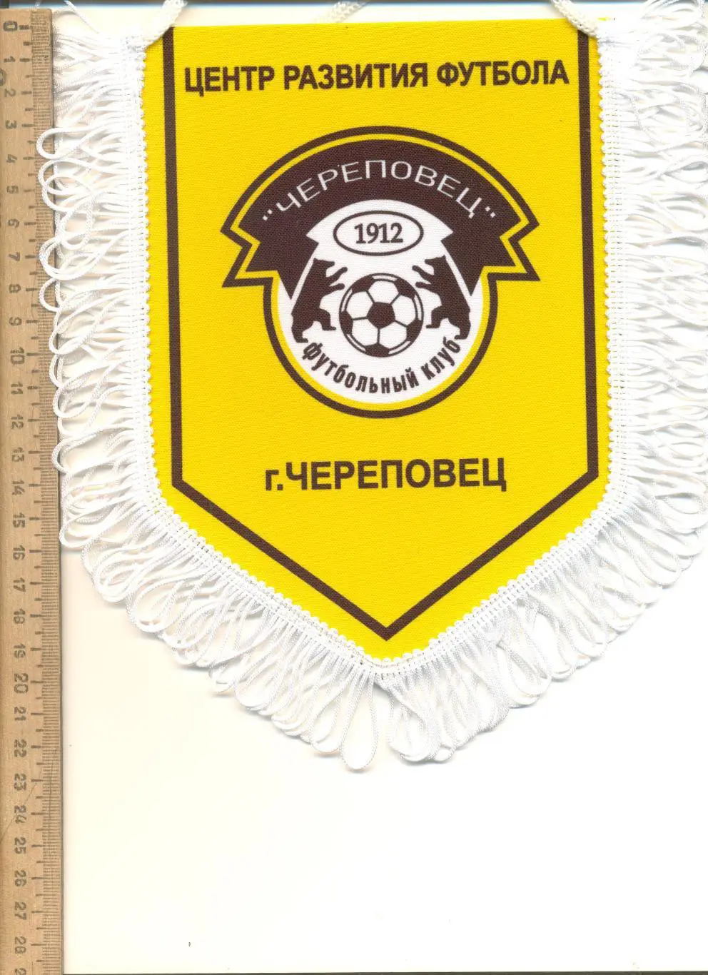 Вымпел Центр развития футбола ФК Череповец.