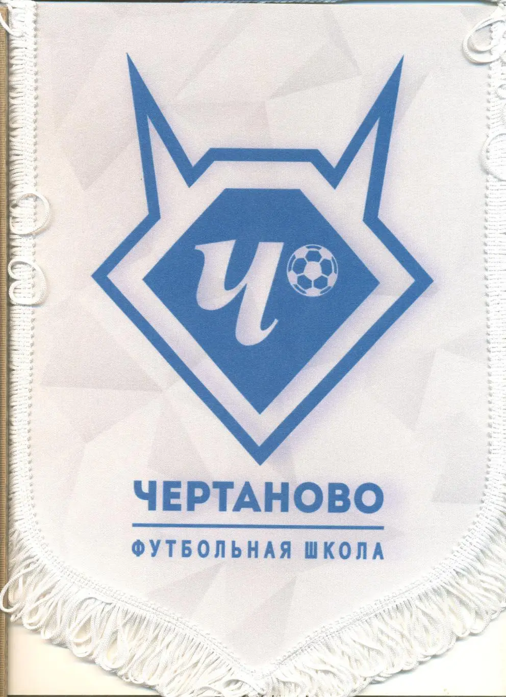 Вымпел Футбольная школа Чертаново.