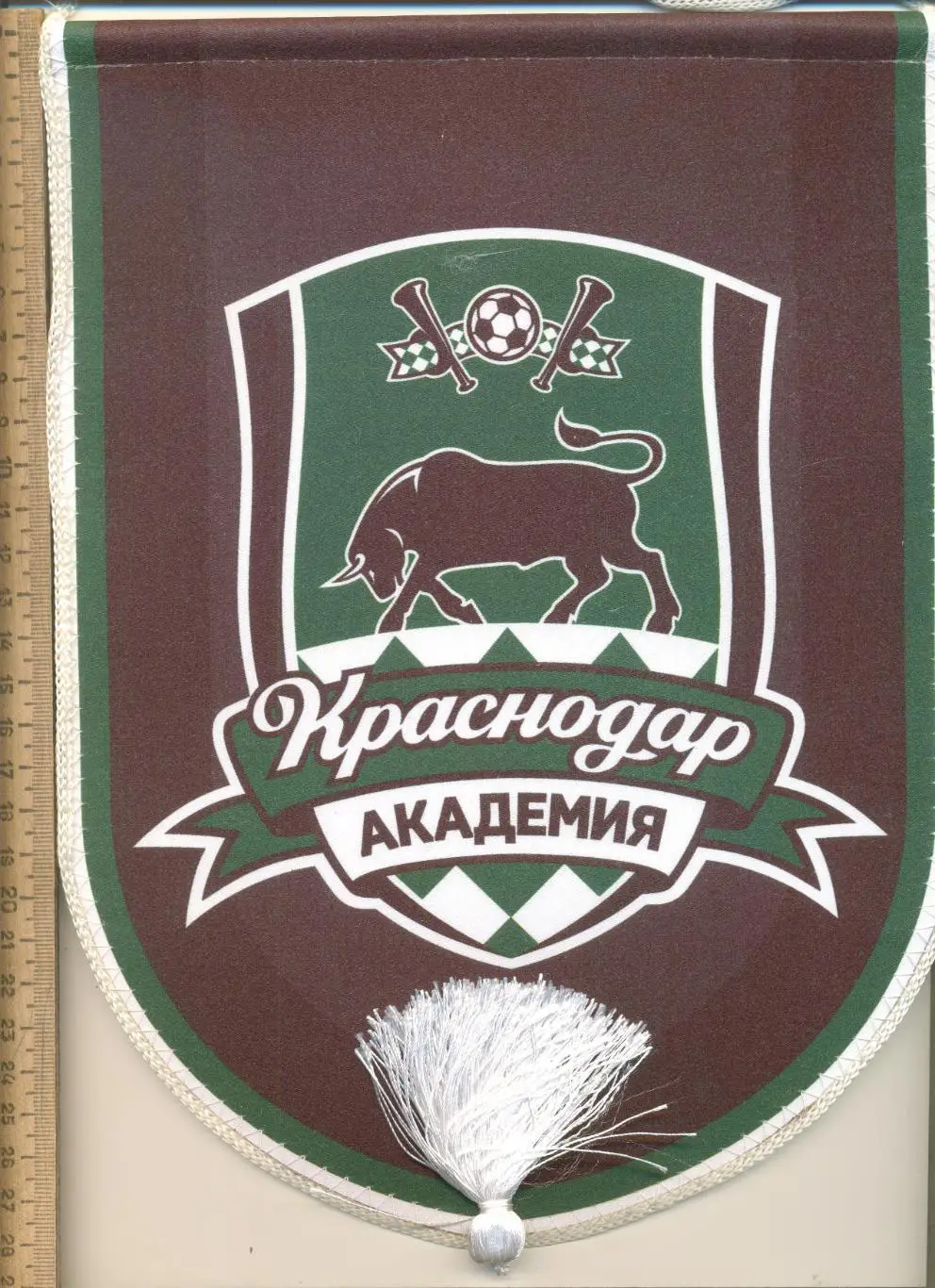 Вымпел ФК Краснодар (Академия).