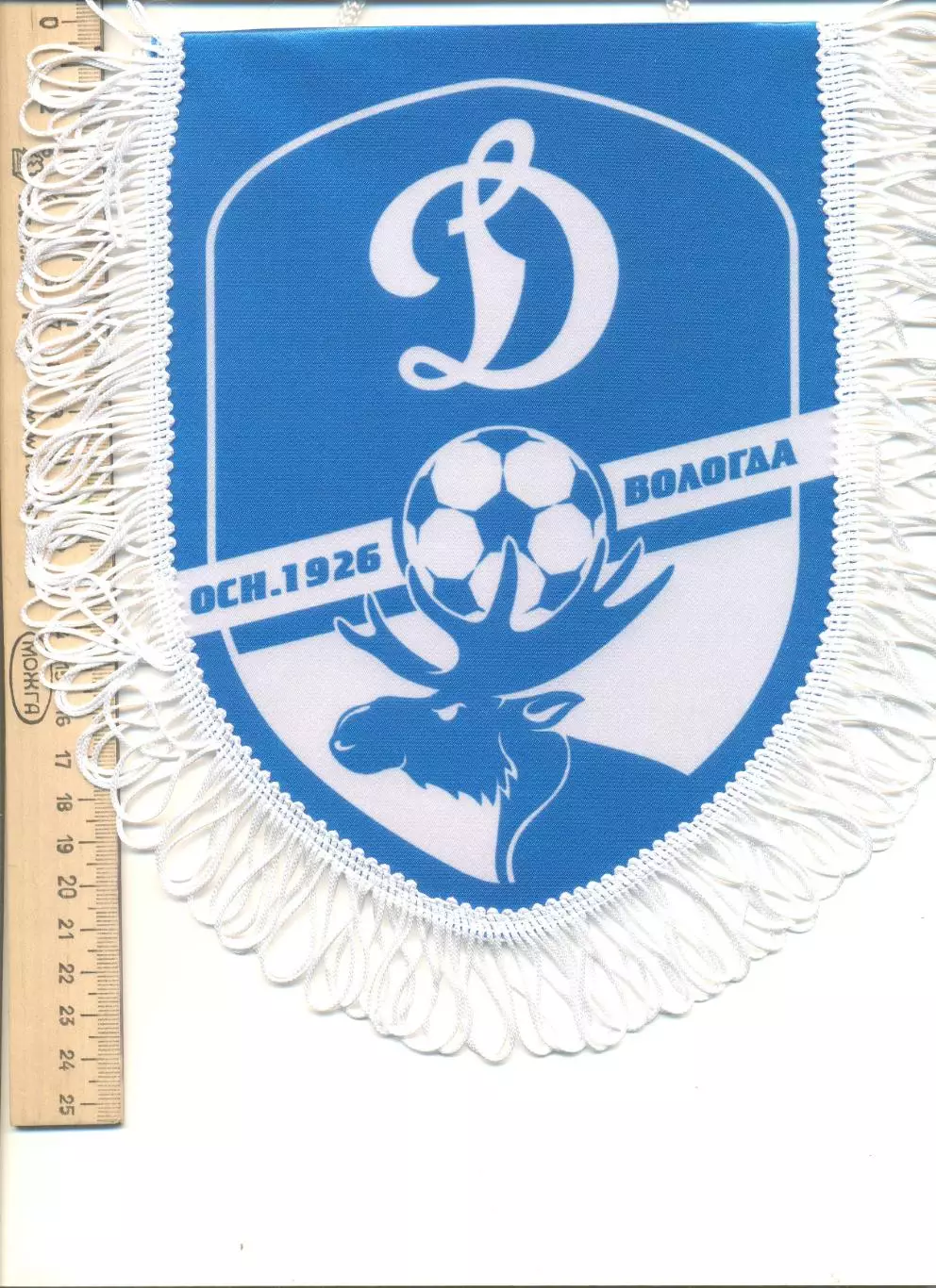 Вымпел Динамо Вологда.