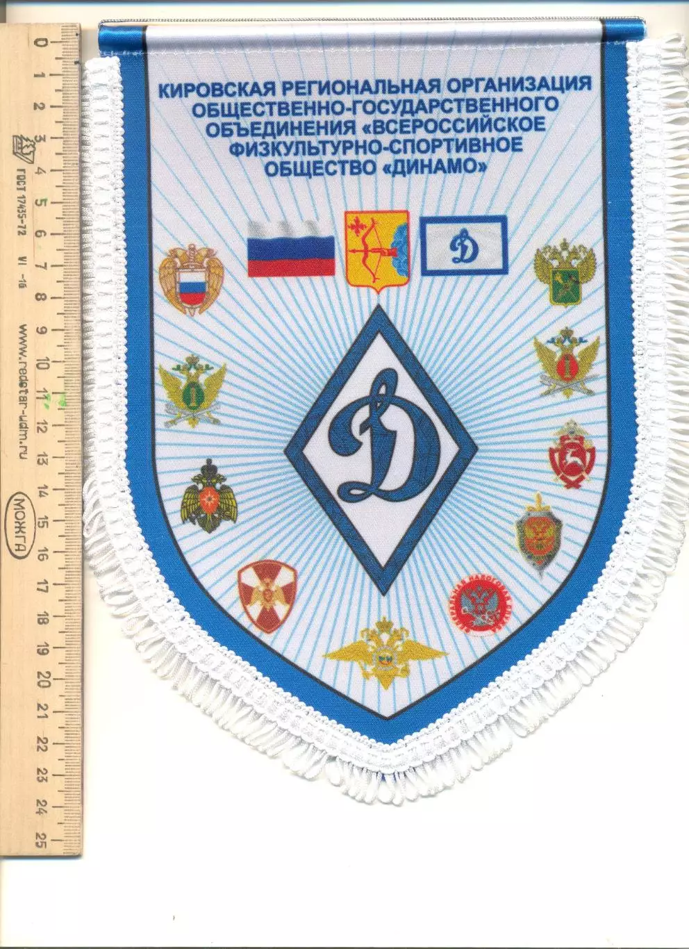 Вымпел ВФСО Динамо Киров.