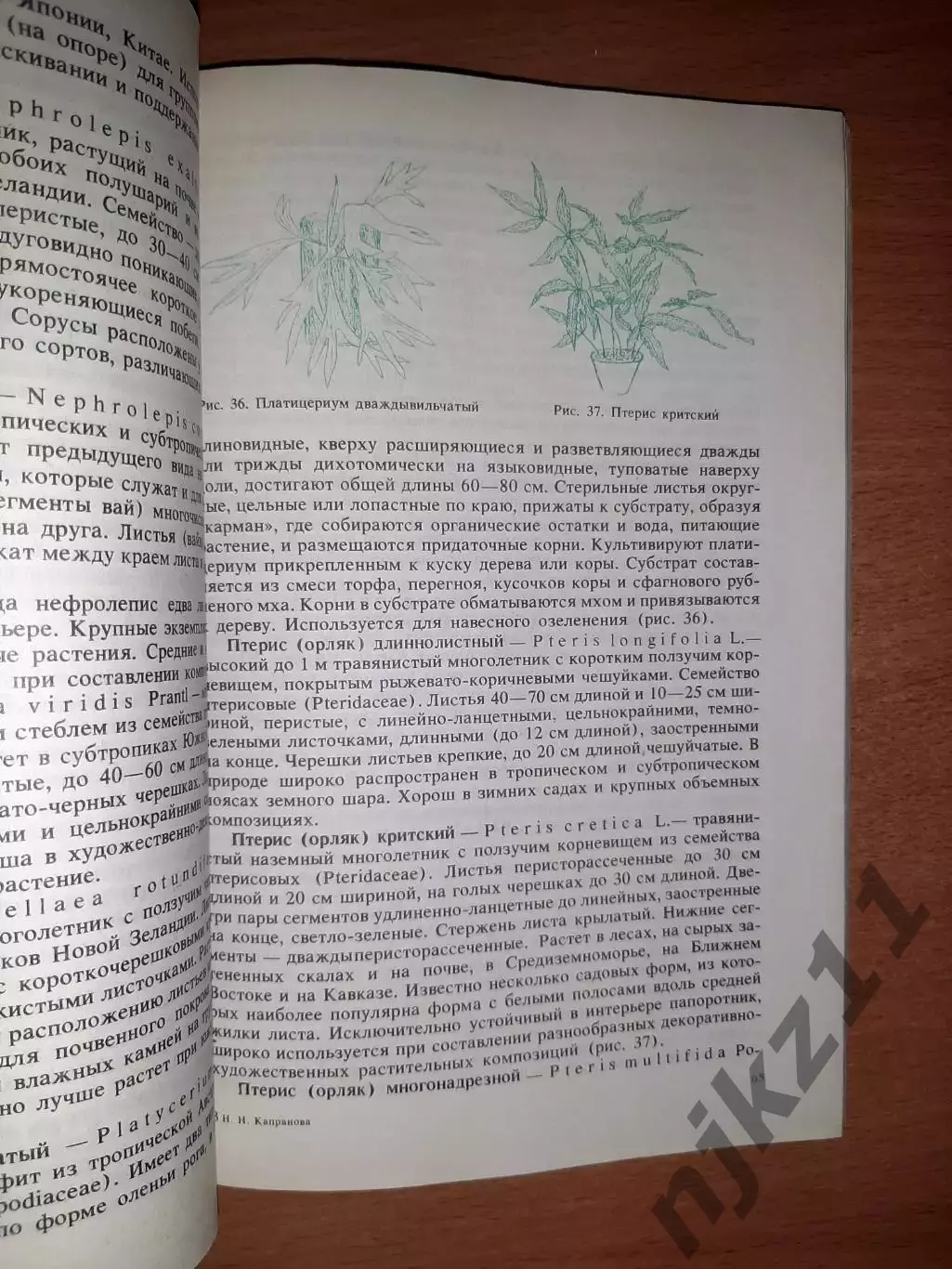 Капранова Н.Н. Комнатные растения в интерьере. 2