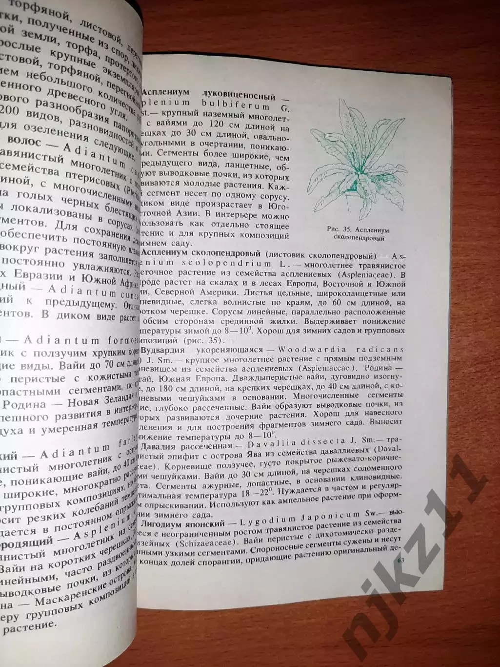 Капранова Н.Н. Комнатные растения в интерьере. 3