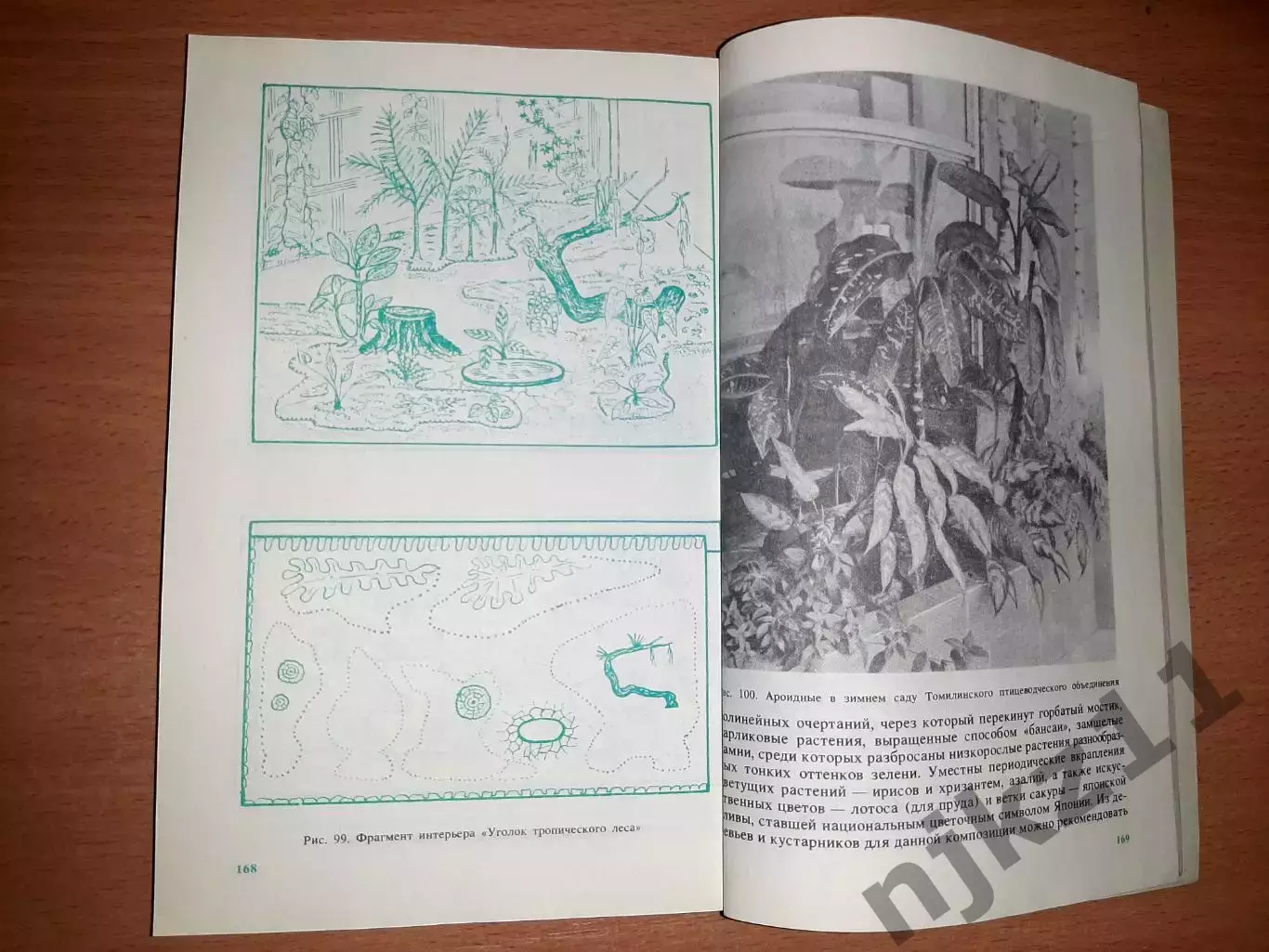 Капранова Н.Н. Комнатные растения в интерьере. 4