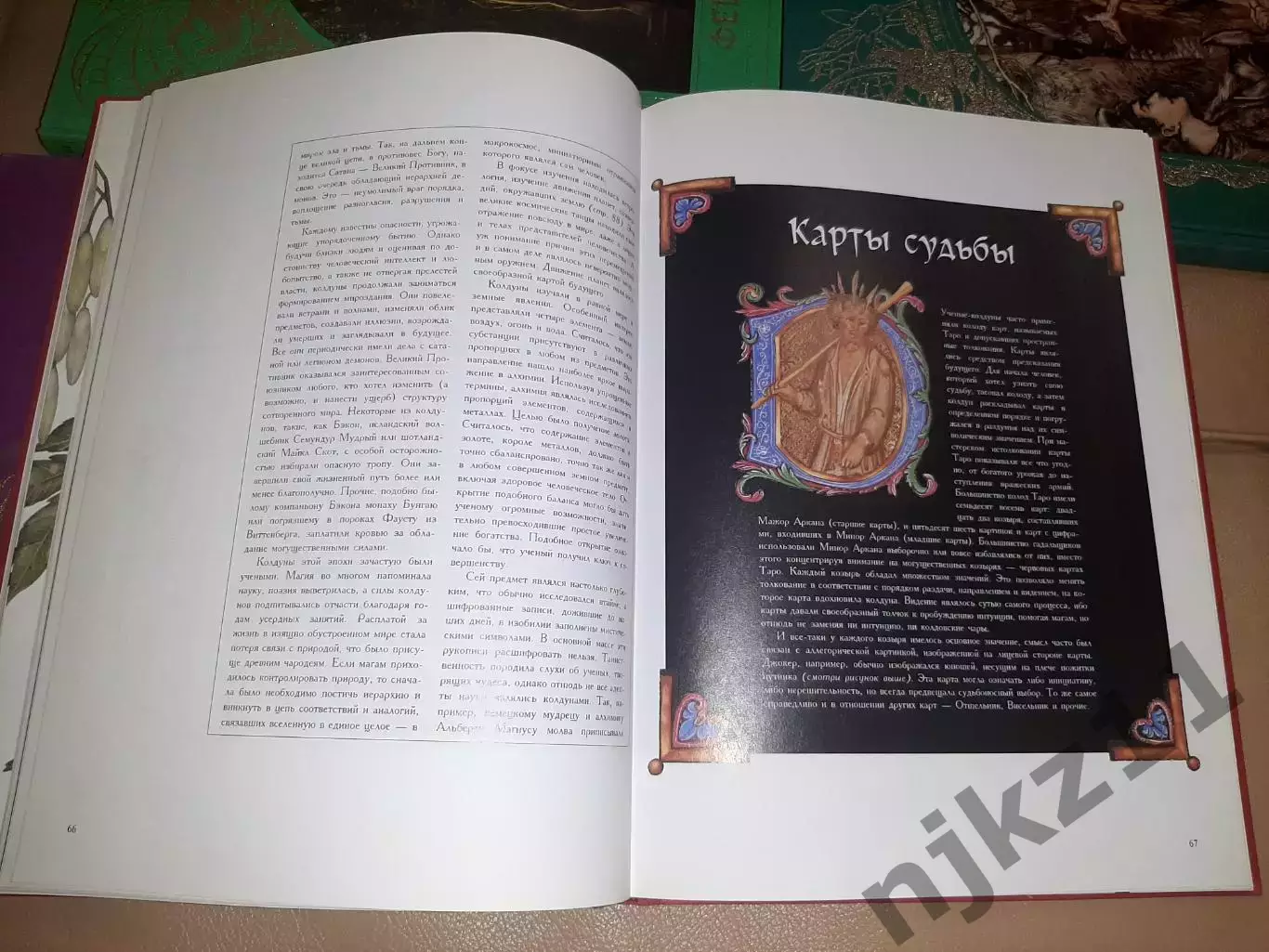 Книги из серии Зачарованный мир Колдуны и Ведьмы, Феи и Эльфы, Гномы, Падение 4