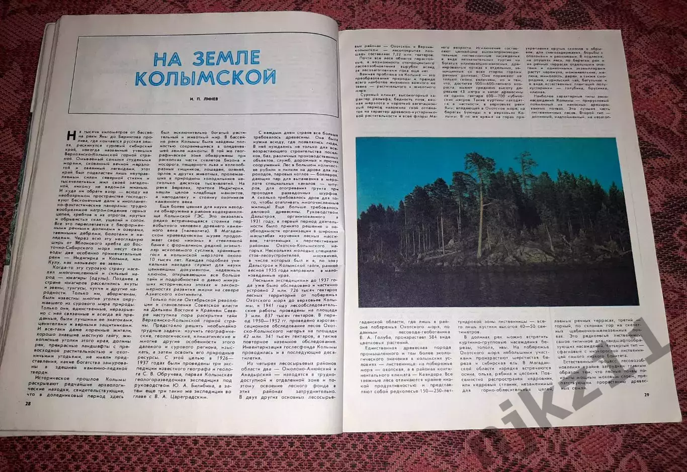 Ежегодник Лес и человек 1984 2