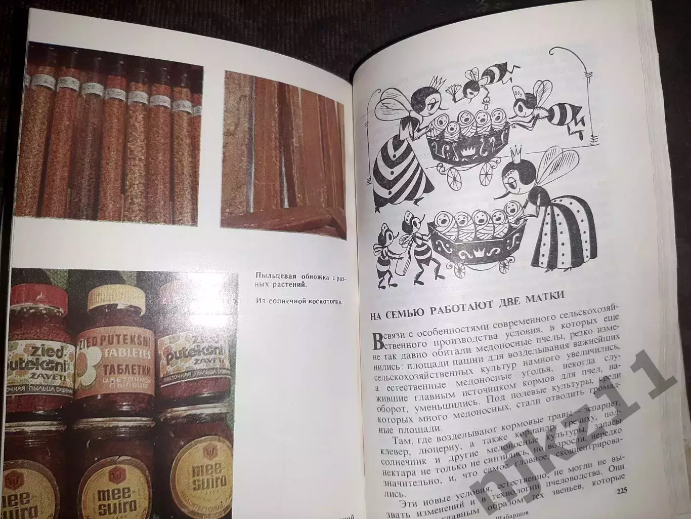 Если вы имеете пчел. В.Родионов И. Шабаршов. Москва 1983 г 4
