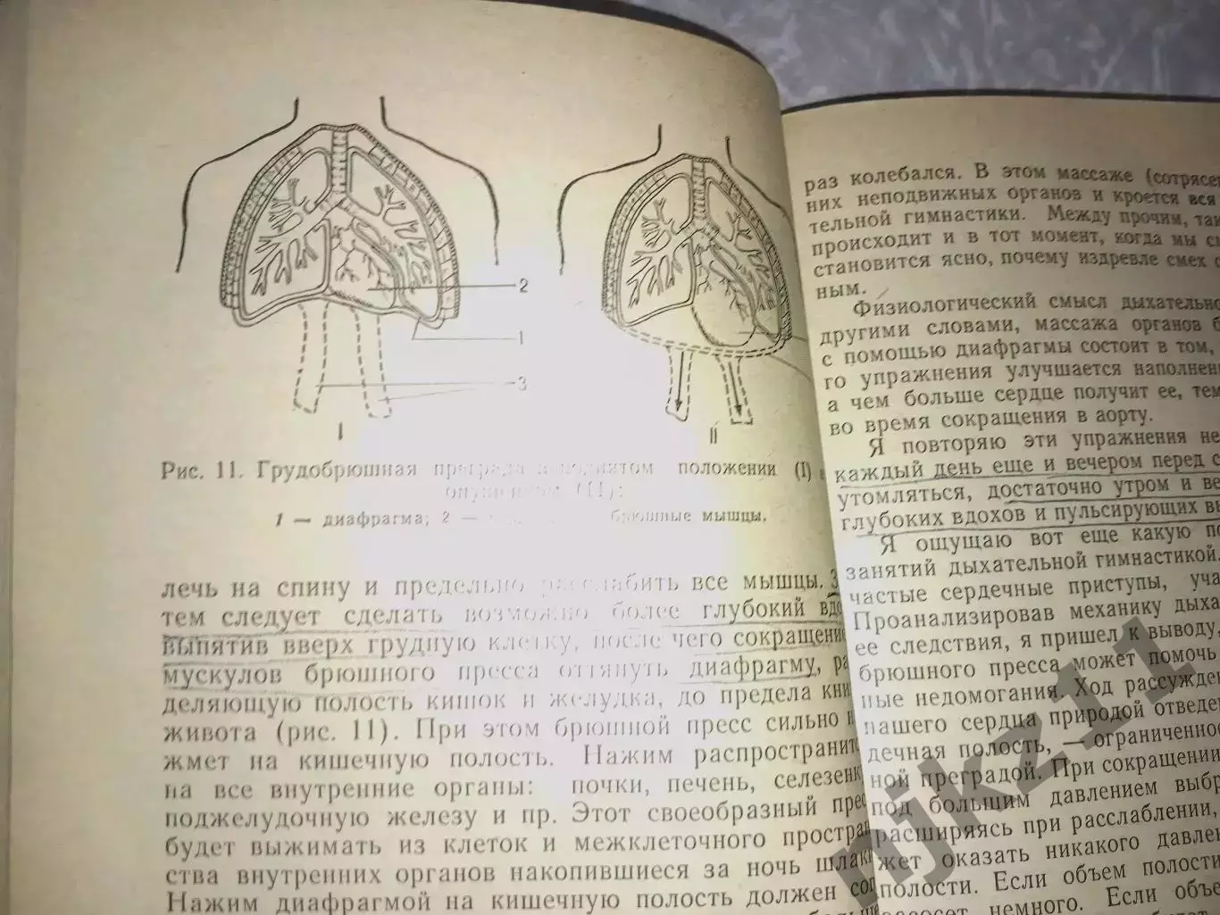 Микулин А.А.- Активное долголетие. Моя система борьбы со старостью 3
