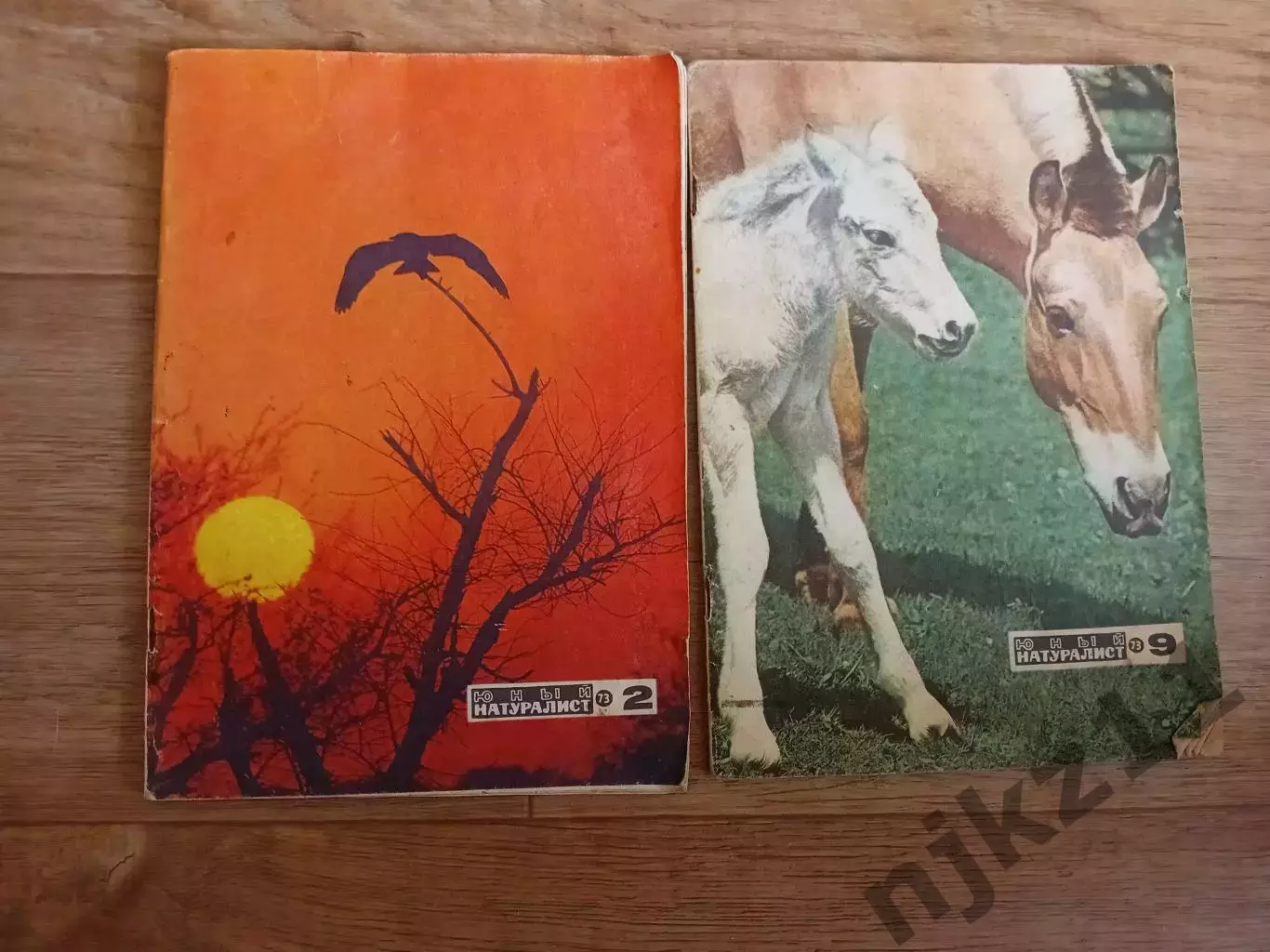 Юный натуралист № 2 и 9 за 1973г вырезок нет!!!