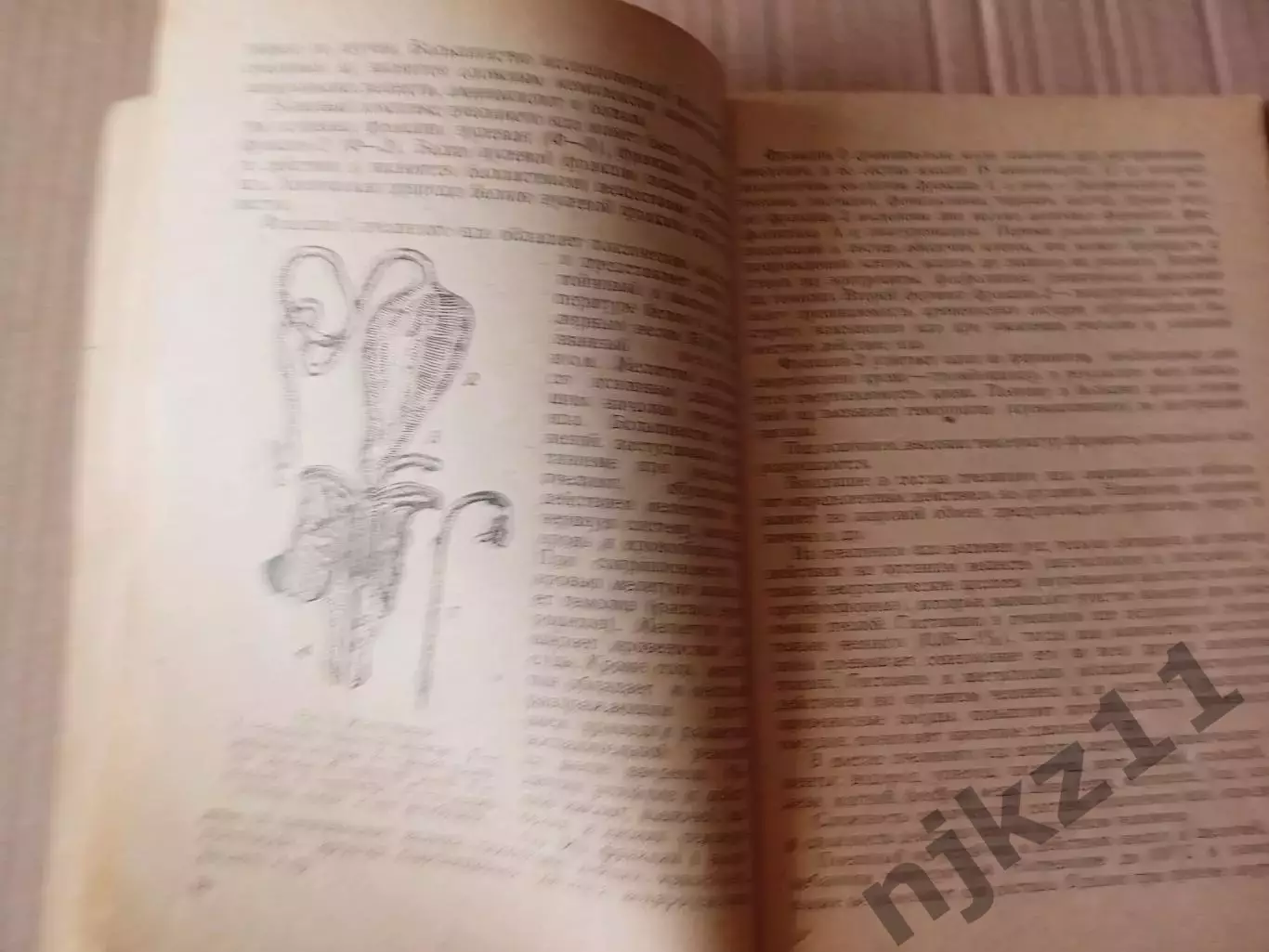 Кузьмина Лечение пчелиным медом и ядом. Саратов 1971г 3