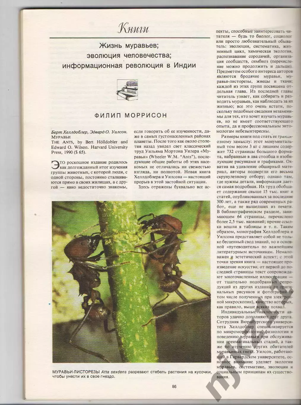 журнал В МИРЕ НАУКИ SCIENTIFIC AMERICAN на русском 1990 №10 тираж 26200! 6