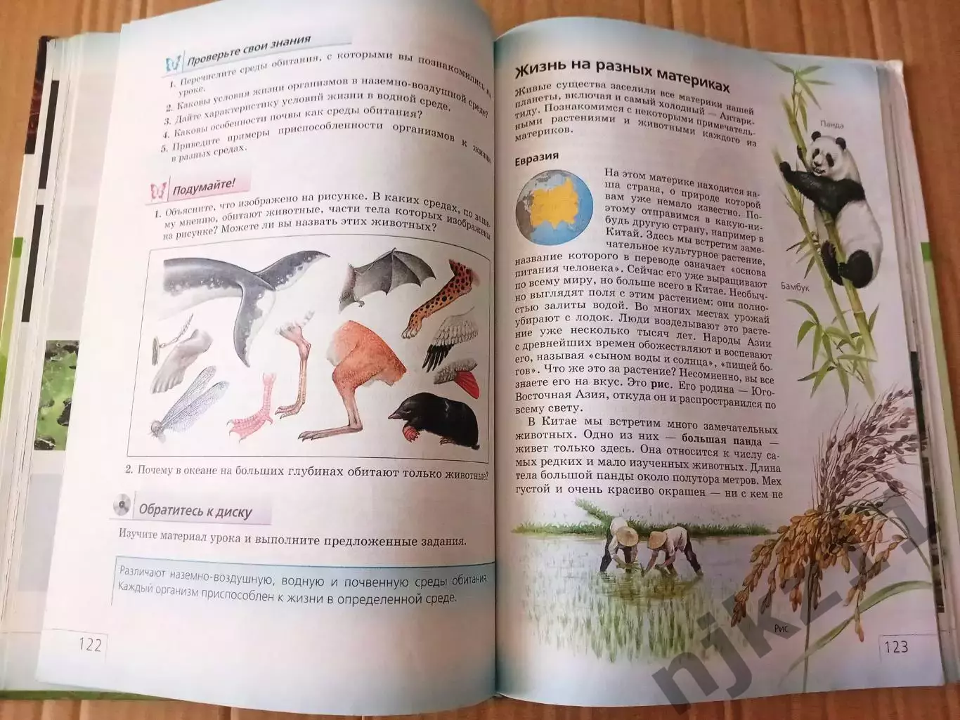 Природоведение 5 класс А. А. Плешаков, Н. И. Сонин 4